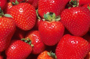 fruit uit eigen tuin, aardbeien