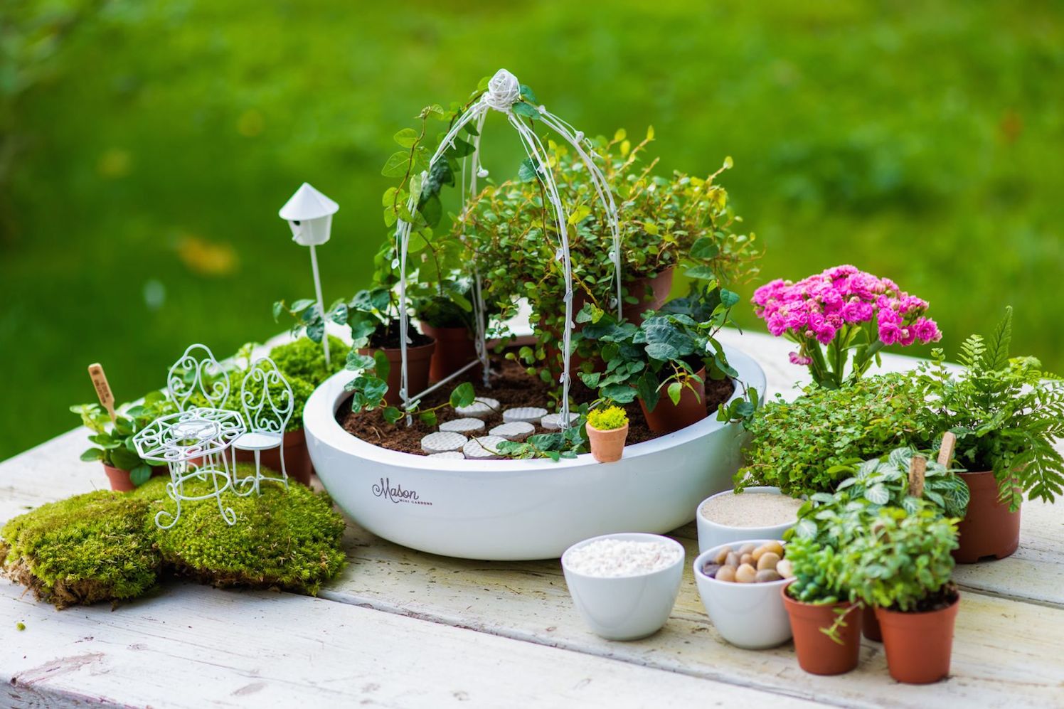opblijven afdrijven Bedreven Minituintjes een nieuwe vorm van tuinieren - GroenVandaag