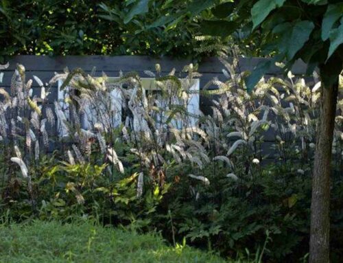 Laat het najaar geen vergeten tuinseizoen zijn