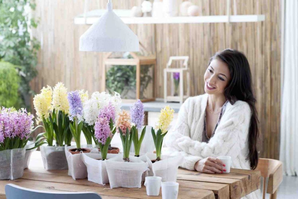 hyacinten_in_pot_zak