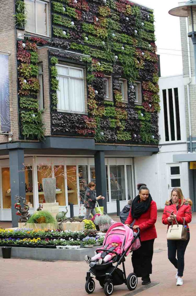groene_wand_stadshart_Veghel