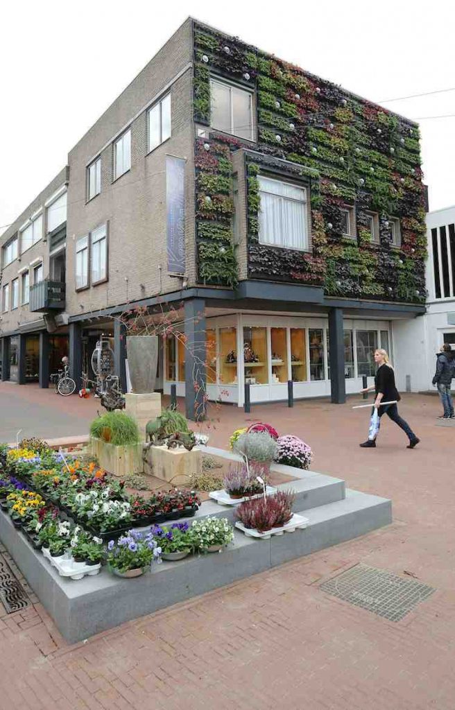 levende_wand_stad_veghel