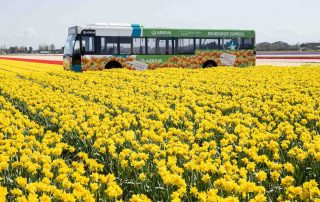 duurzaam ondernemen tulpenbussen