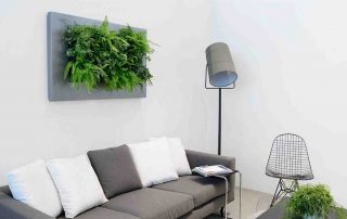 groene plant en wand