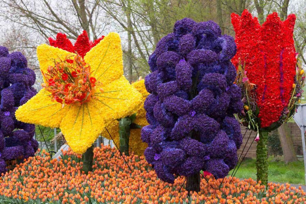 bloemencorso1