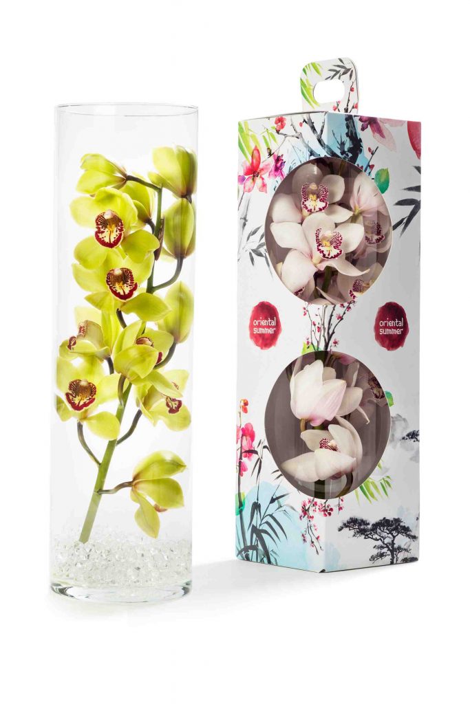 snij-cymbidium