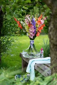 gladiolen, creatief met zomerbloemen