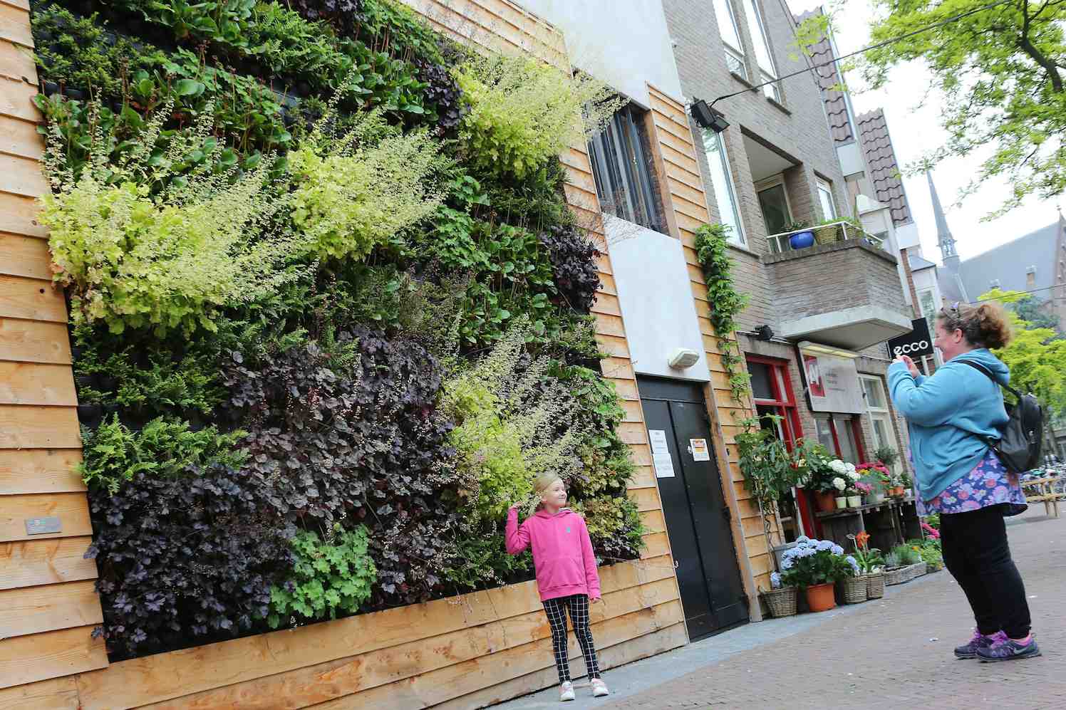 groene muur, plantenwand