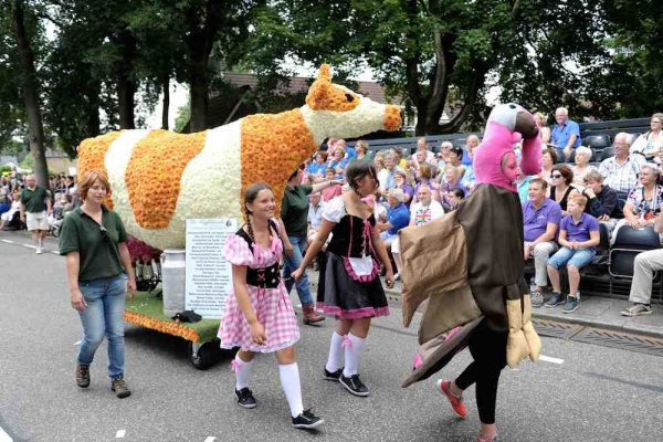 Bloemencorso_leersum_2015_3