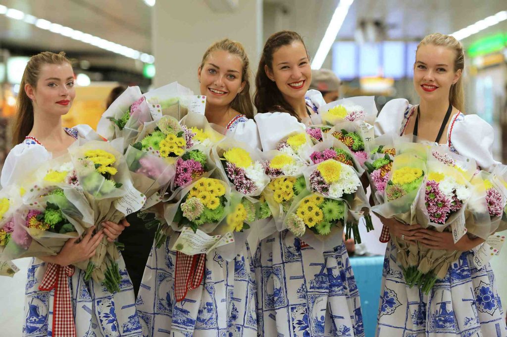 Schiphol Chrysant 1