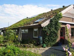 de voordelen van groene daken