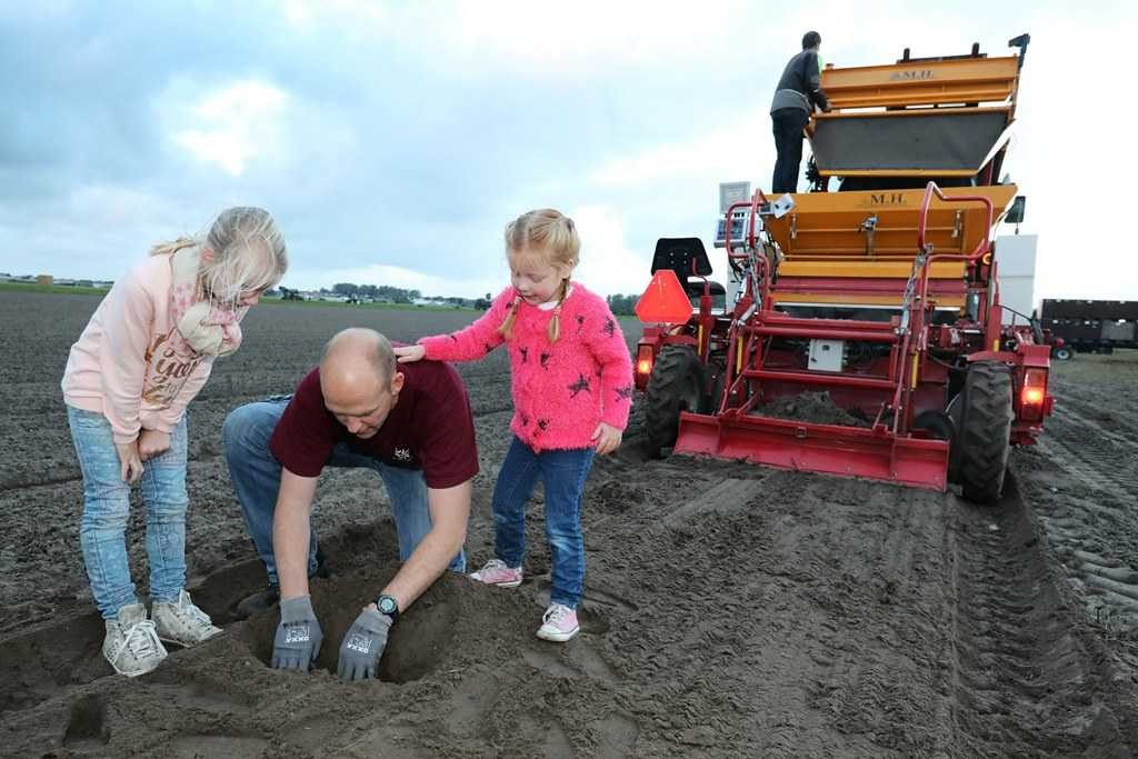 narcissenbollen planten2