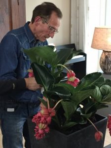 rob verlinden, robs grote tuinverbouwing, plantplezier