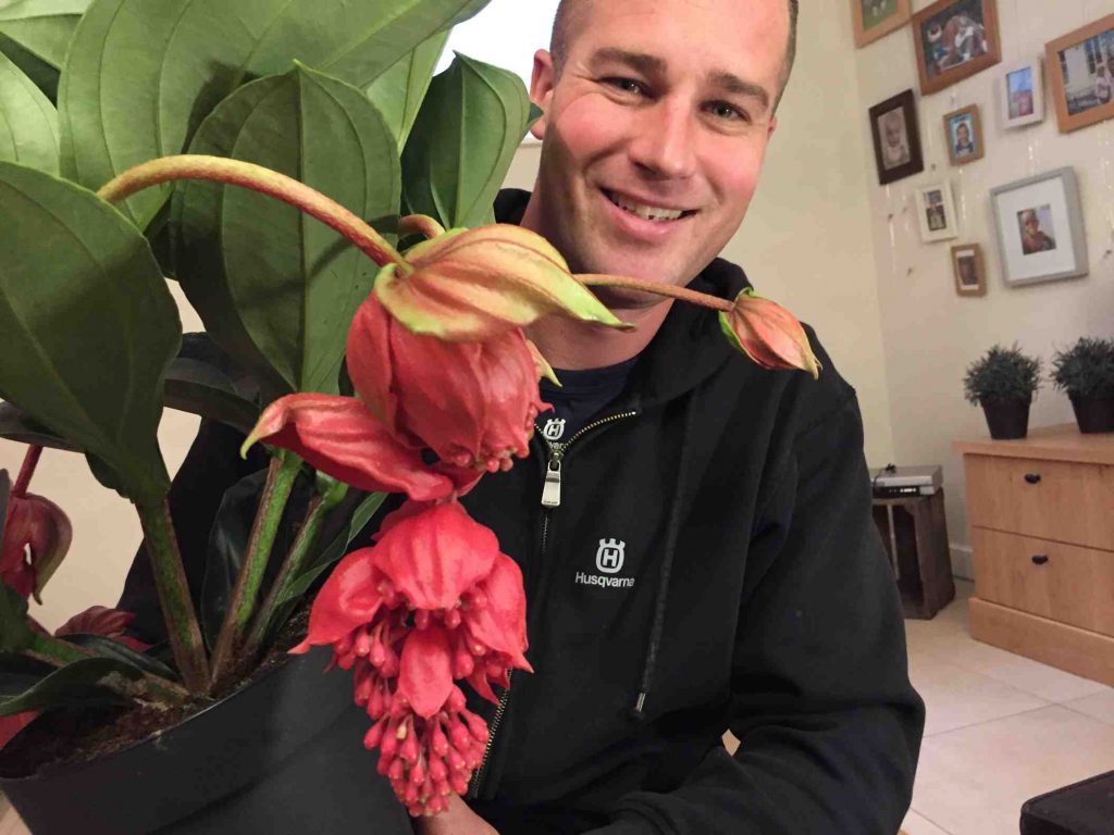 medinilla in Robs Grote Tuinverbouwing, Plantplezier