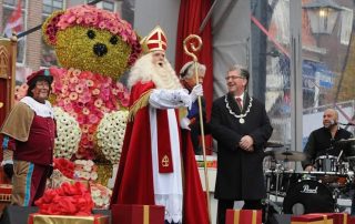 gerbera's voor sinterklaas