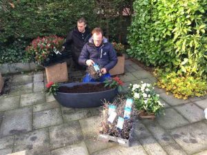 Robs Grote Tuinverbouwing, Plantplezier