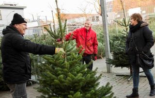 nordmann kerstbomen bij Praxis