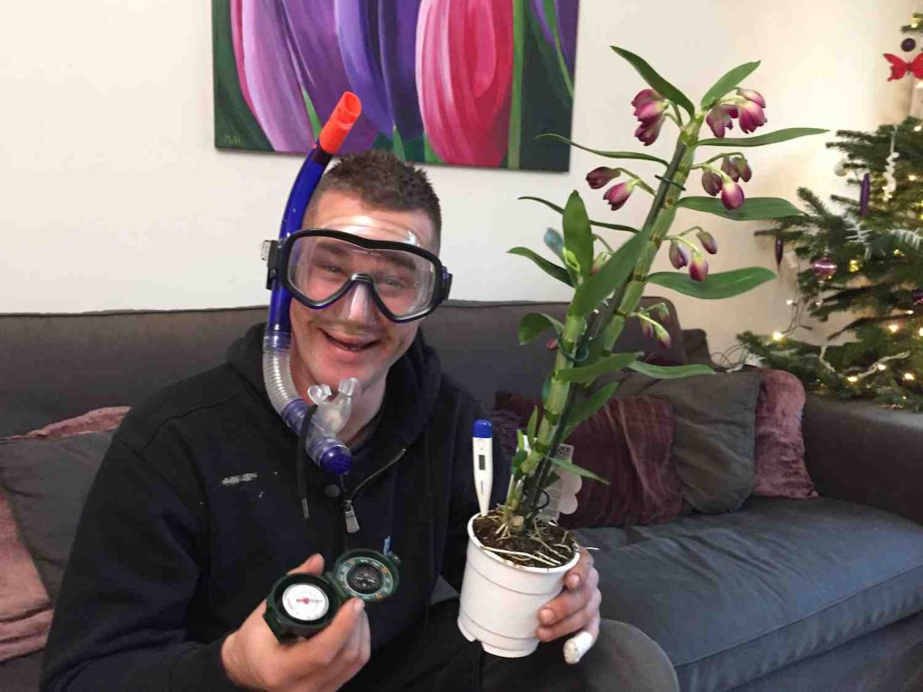 plantplezier en dendrobium