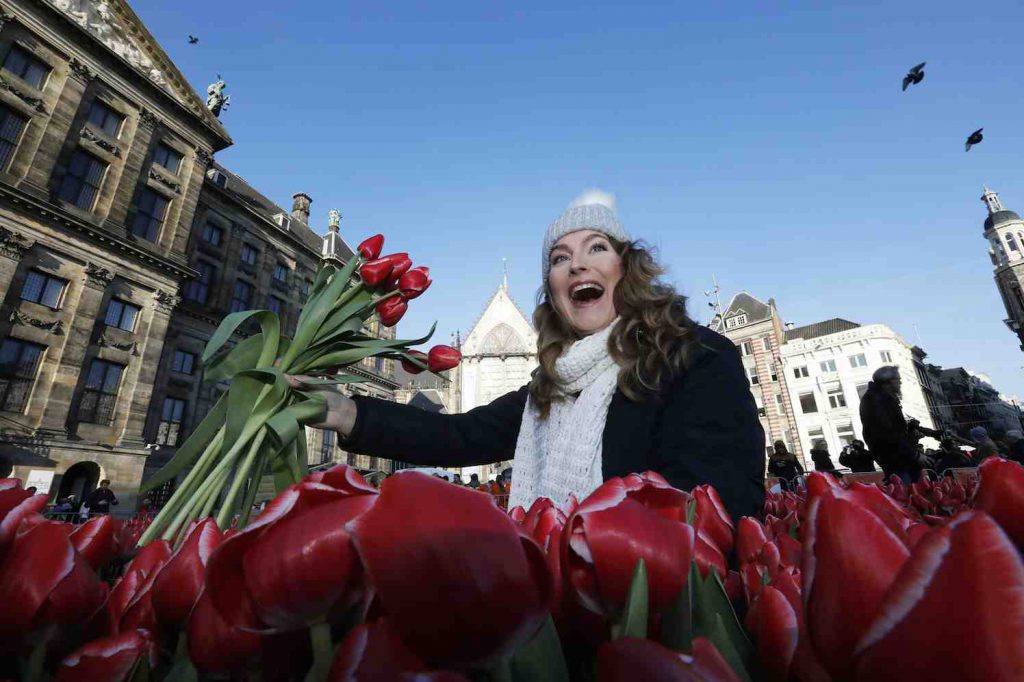 dag van de tulp