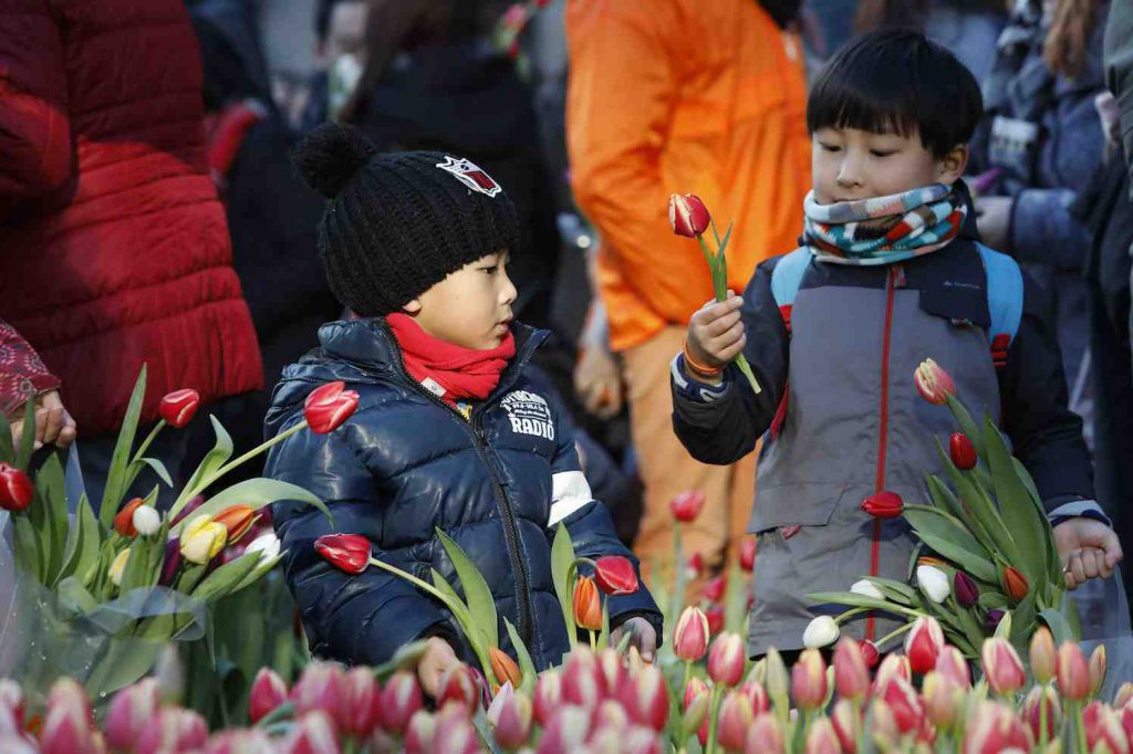 nationale tulpendag