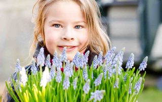 hyacinth en lente