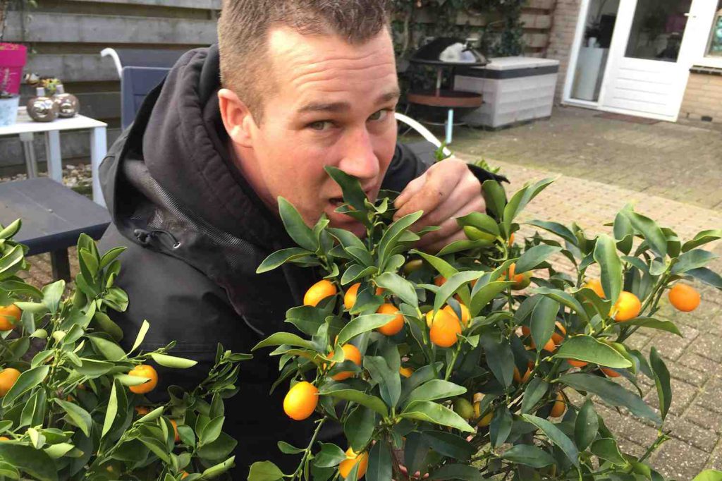 Ivo en citrusboompjes