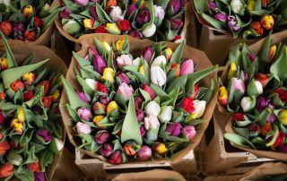 Tulpenverkoop