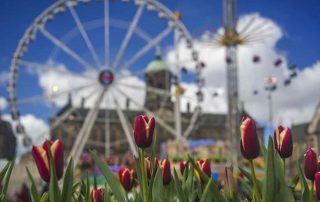 Tulp Festival bollenplanttijd