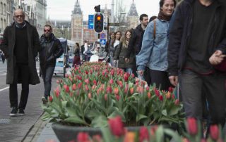 Tulp-Festival Amsterdam