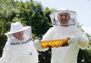 Chrysal helpt bijen
