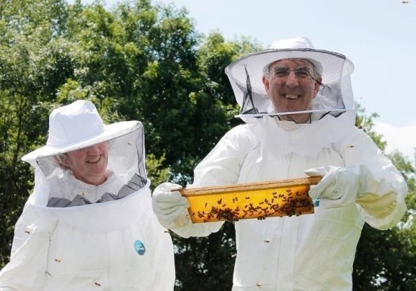 Chrysal helpt bijen