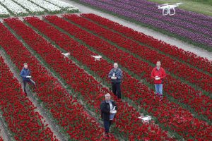 drones boven tulpenveld