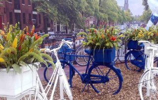 lelieshow keukenhof