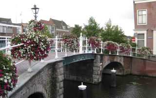 stadscentra brug met bloemen