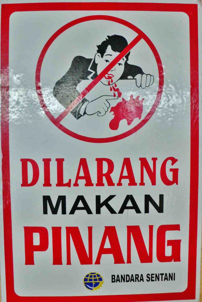 pinangnoot, betelpruim