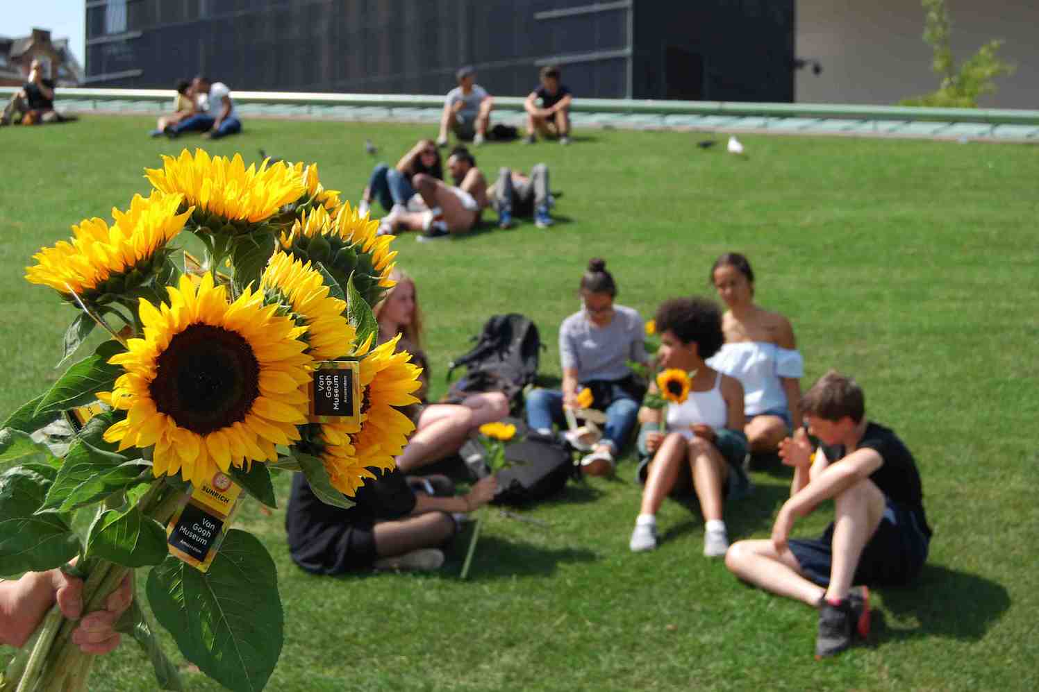Van Gogh zonnebloemen museumplein