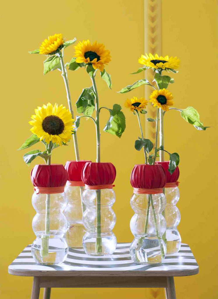 zonnebloem, helianthus