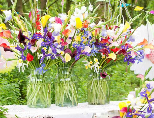 Zomerbloemen, vers van het veld