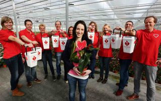 Hartstichting-veiling 2017 en anthurium