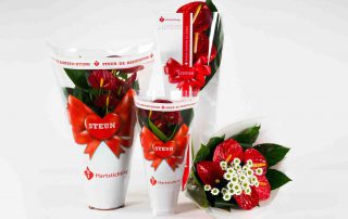 anthurium hartstichting