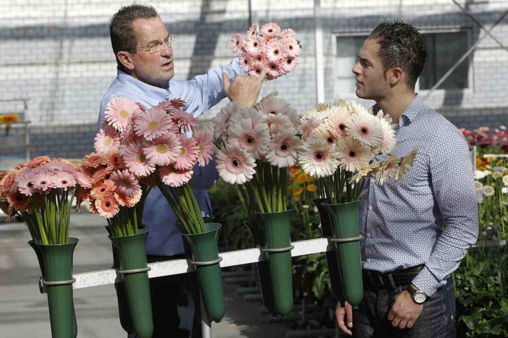 prinsjesdag bloemen in de ridderzaal
