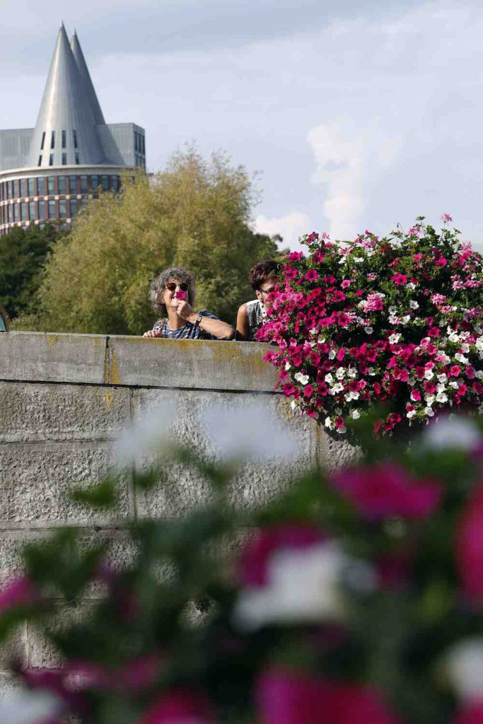  Fleurig Roermond, zomerbloei zorgt voor positief imago.
