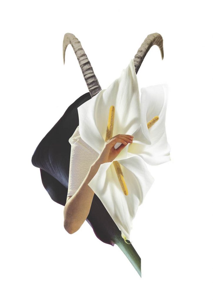 bloemenhoroscoop