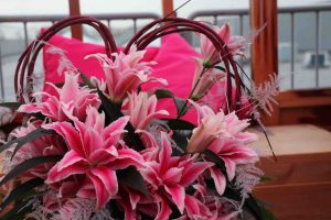 roselily lilium