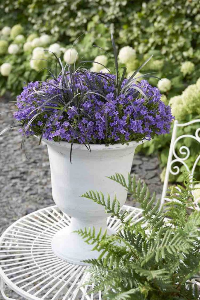 addenda huishoudbeurs