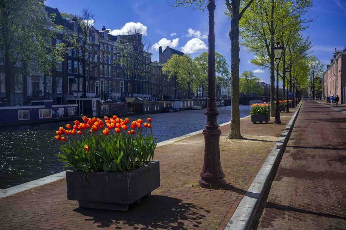 Officiële opening Tulp Festival in NieuwWest GroenVandaag