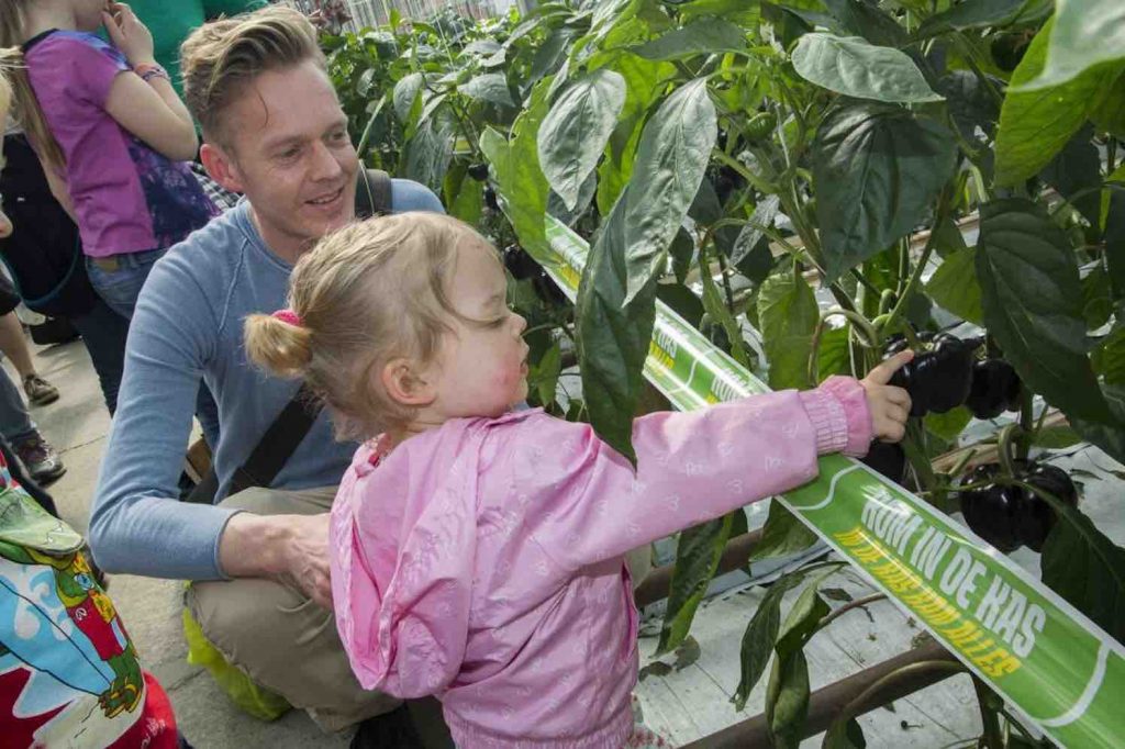 Je kijkt je ogen uit tijdens Kom in de Kas 2024