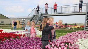 tulpenfestival