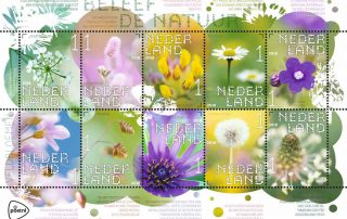 postzegels veldbloemen