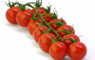 groenteplanten tomaten